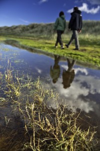 WCP North © Visit Wales